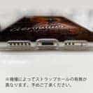 【TPU】ジャッカル(JACKALL)　ジェロニモSR