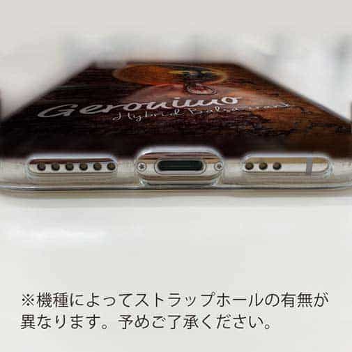 【TPU】ジャッカル(JACKALL)　ジェロニモSR