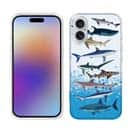 【TPU】サメ・シャーク・鮫　鮫の種類