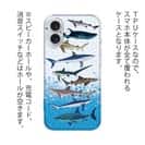 【TPU】サメ・シャーク・鮫　鮫の種類