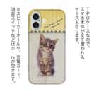 【TPU】kitten sits　座る子猫