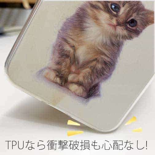 【TPU】kitten sits　座る子猫