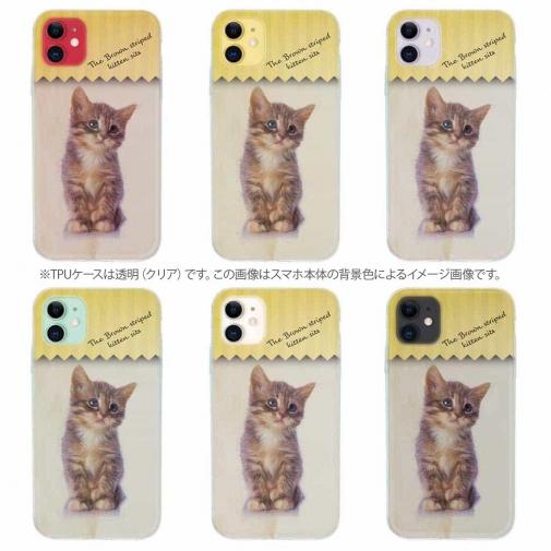 【TPU】kitten sits　座る子猫