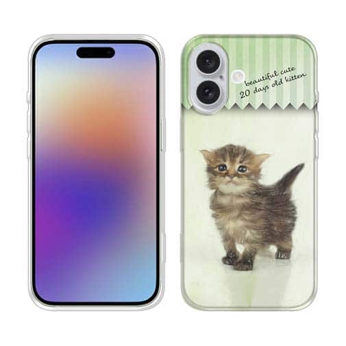 【TPU】生後20日の可愛い子猫　イラスト