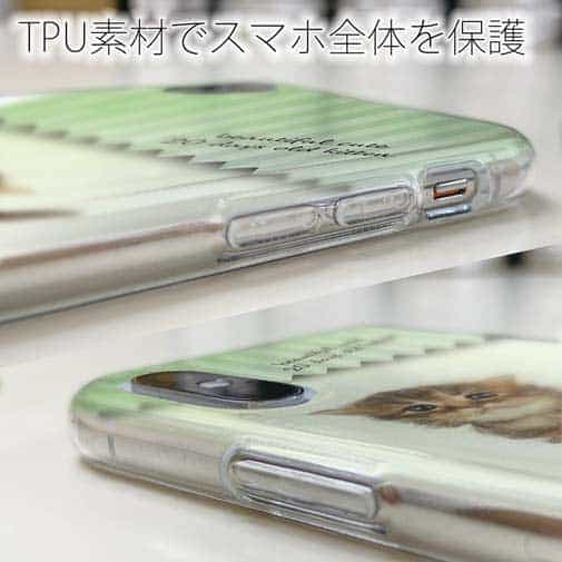 【TPU】生後20日の可愛い子猫　イラスト