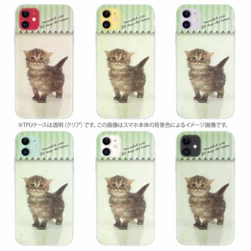 【TPU】生後20日の可愛い子猫　イラスト