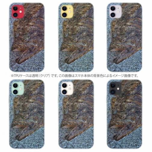 【TPU】砂の王者・ヒラメ