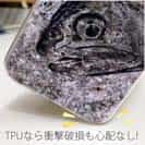 【TPU】イワナ　鉄錆