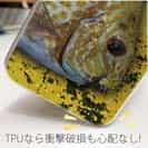 【TPU】カーエー(ゴマアイゴ)