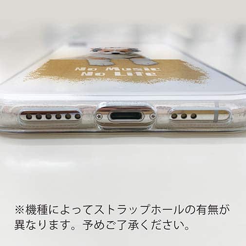 【TPU】コーギーだってNo Music No Life