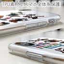 【TPU】【釣りざんまい】魚釣りに出かけよう!