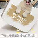 【TPU】ゴールデンレトリバーだってNo Music