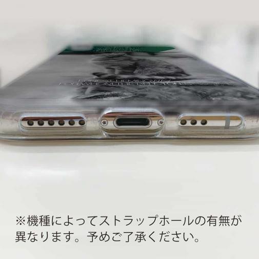 【TPU】ヘミングウェイの猫とは…