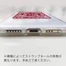 球磨焼酎【TPU】産地指定・球磨焼酎