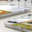 球磨焼酎【TPU】極楽