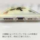 球磨焼酎【TPU】山河