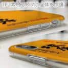 球磨焼酎【TPU】球磨拳（くまけん）