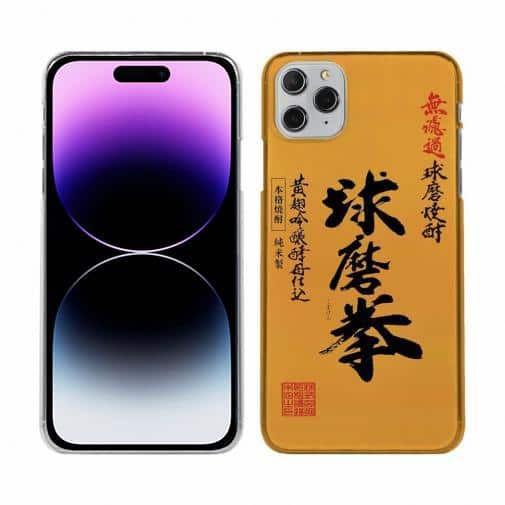 球磨焼酎【TPU】球磨拳（くまけん）