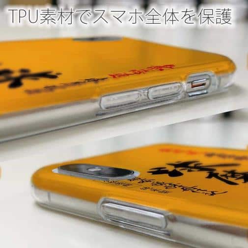 球磨焼酎【TPU】球磨拳（くまけん）