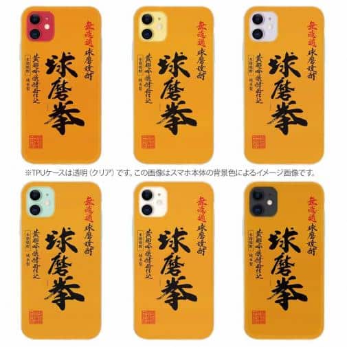 球磨焼酎【TPU】球磨拳（くまけん）