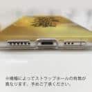 球磨焼酎【TPU】奥球磨桜