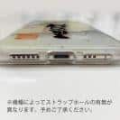 球磨焼酎【TPU】桜の里