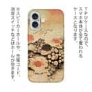 【Hokus-AI】【TPU】Bacteriaシリーズ No.1