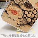 【Hokus-AI】【TPU】Bacteriaシリーズ No.1