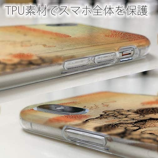 【Hokus-AI】【TPU】Bacteriaシリーズ No.1