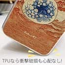 【Hokus-AI】【TPU】Bacteriaシリーズ No.2