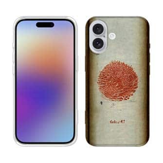 【Hokus-AI】【TPU】Bacteriaシリーズ No.4