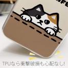 【TPU】何か気になる三毛猫(wakat)