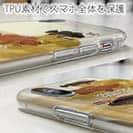 【TPU】【FISH MAN】ハードロックフィッシュゲーム ブラウン No2