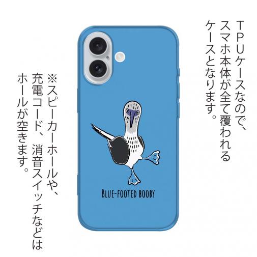 【TPU】とぼけた顔のアオアシカツオドリ(wakat)