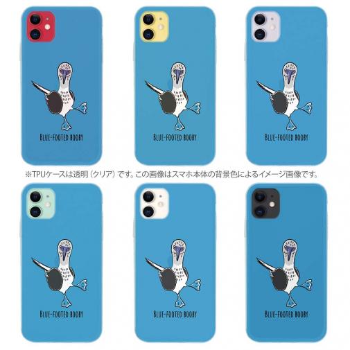 【TPU】とぼけた顔のアオアシカツオドリ(wakat)