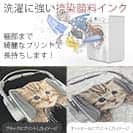 【トレーナー】【2029】ブレイブスター 5.6oz Cotton:100%